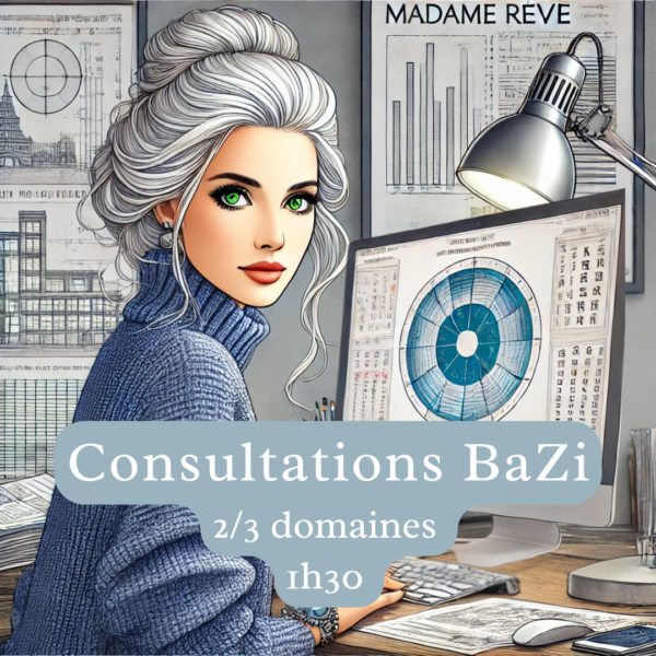 Consultation BaZi 2/3 domaines-1h30