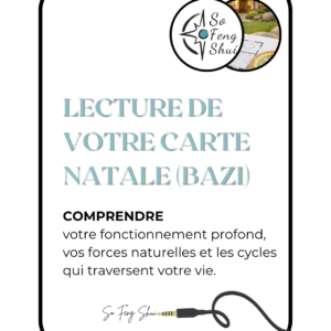 Lecture BaZi — Comprendre ton fonctionnement