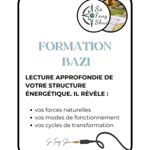 Formation BaZi