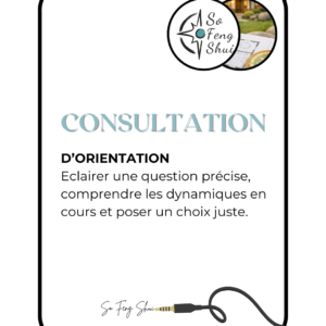 Consultation d’orientation — Faire le point