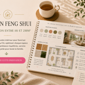 Design Feng Shui Habitation de 181 à 250m2