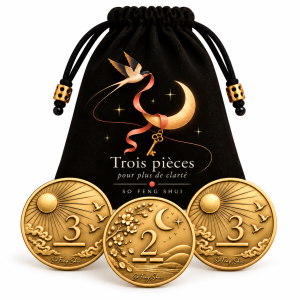 Les 3 pièces I Ching